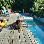 7 * コルビエルフ