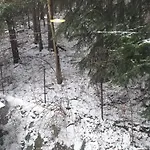 7 Gæstehus Korbielów