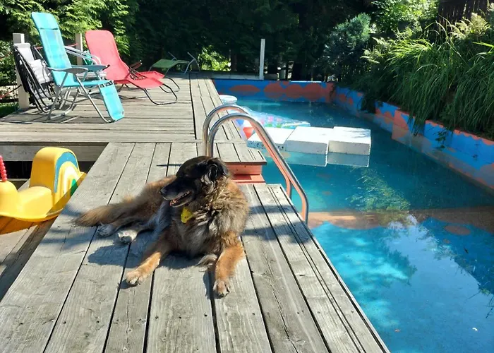 7 * كوربييلوف