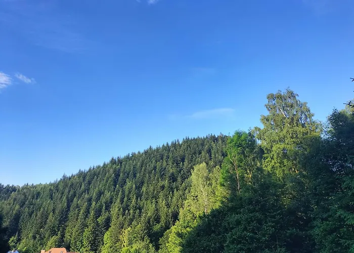 بيت ضيافة 7 *