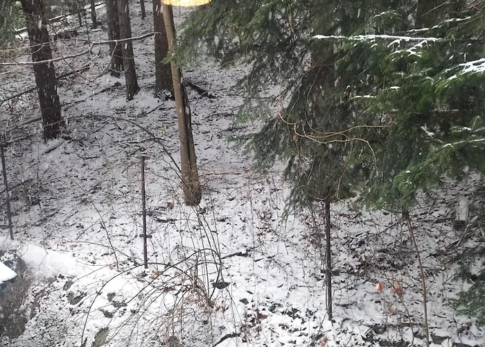 7 Pensión Korbielów