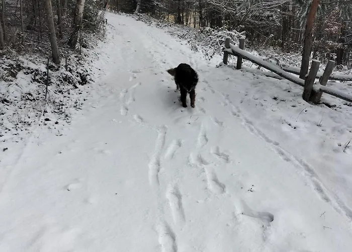 7 بيت ضيافة *